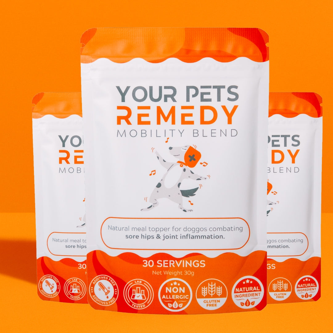 Dog Joint Supplement