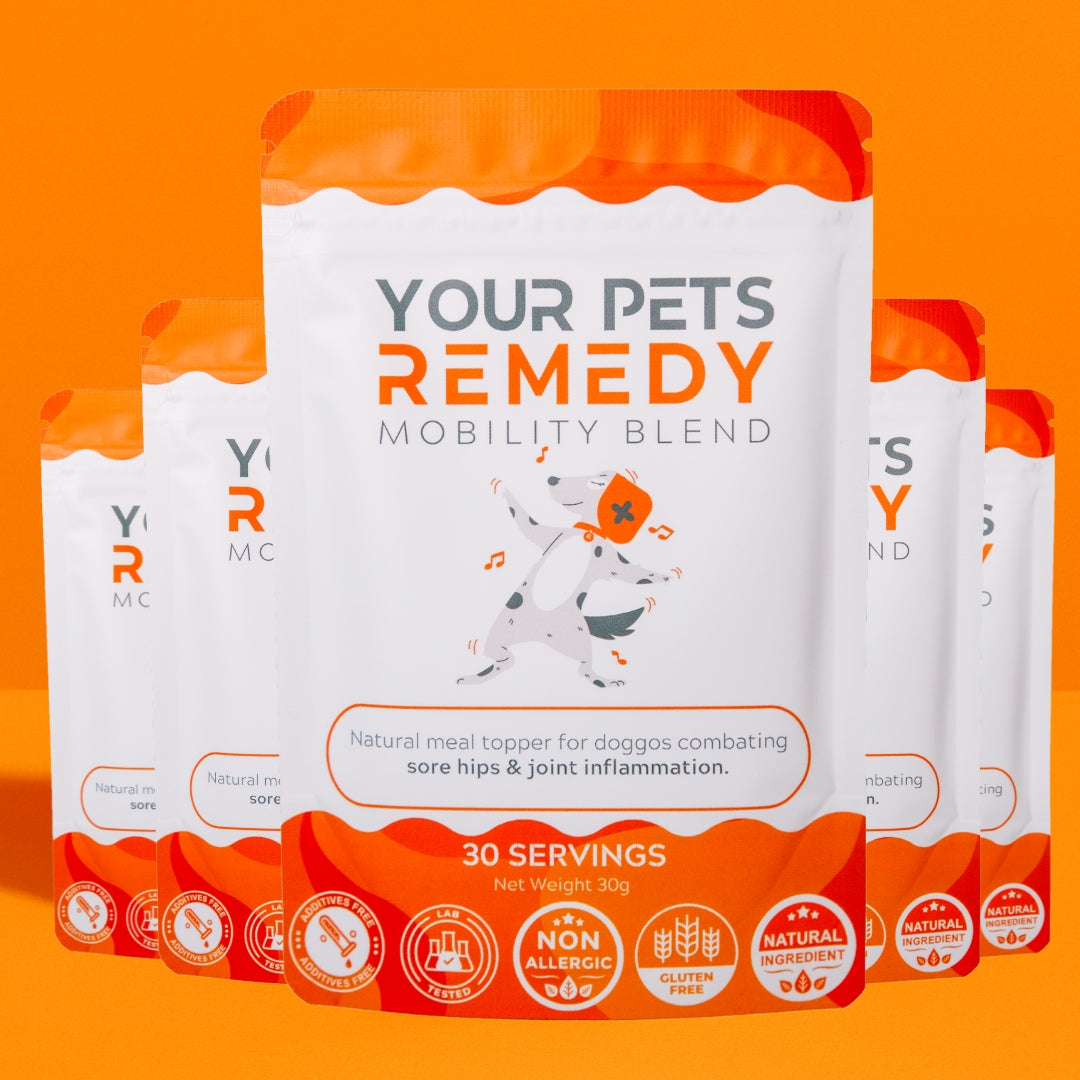 Dog Joint Supplement