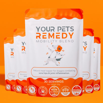 YPR Dog Joint Supplement