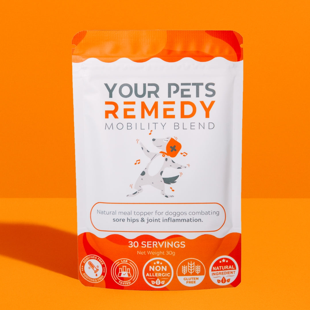 Dog Joint Supplement