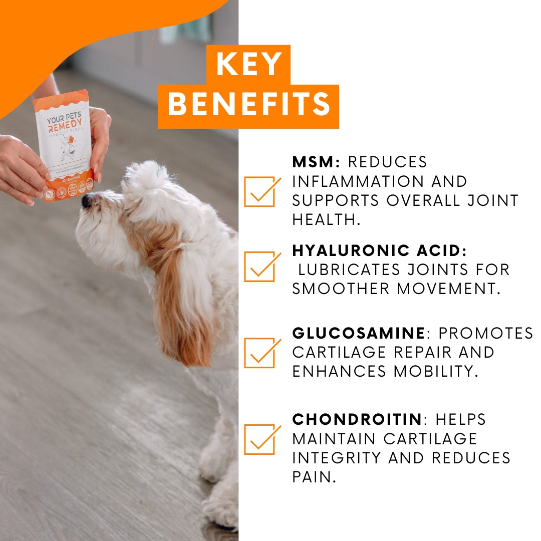 Dog Hip and Joint Supplement