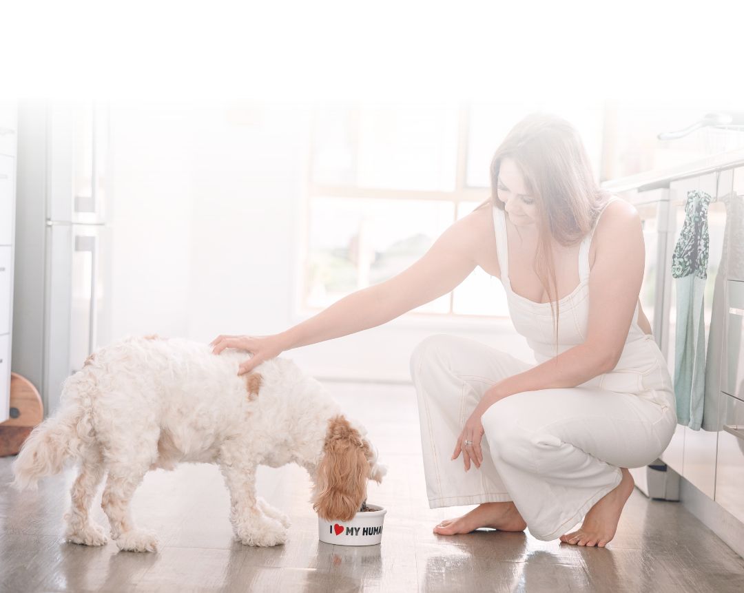 compare phone ypr-3.png__PID:19fba25d-ac79-4507-bac5-ab6c557392cd